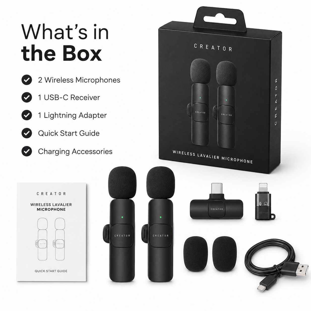 Microphone Mini Audio Video Recording